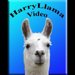 Harry Llama