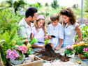 Mother's Day Activities - Planting Flowers