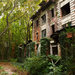 Structures are crumbling on North Brother Island, which was abandoned in 1963.