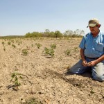 Texas Drought image 2