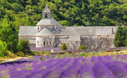 Abbey of Senanque in Provence with blooming lavender field