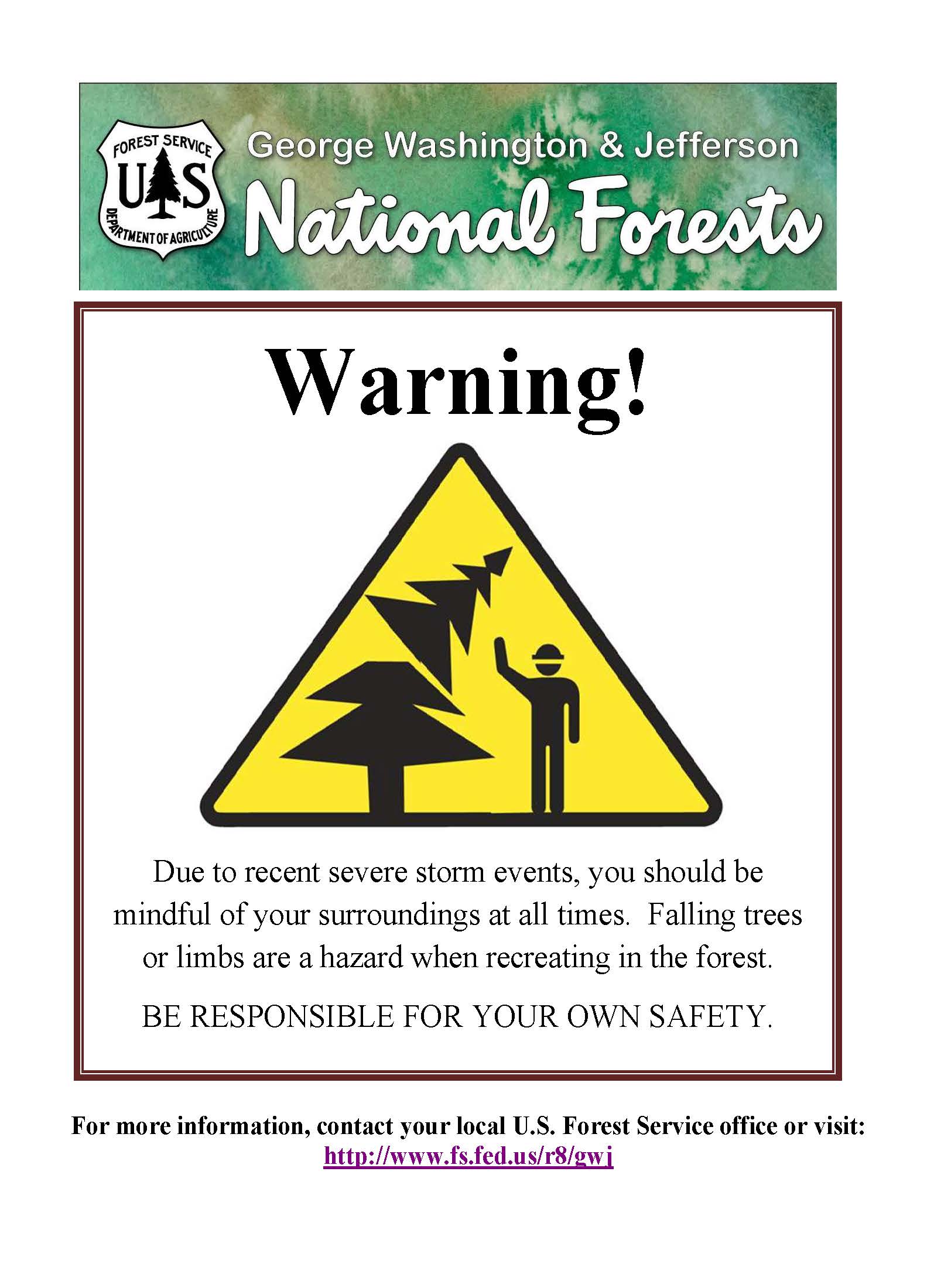 Hazard Tree Safety Poster