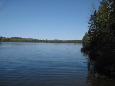 View of BWCAW in the spring
