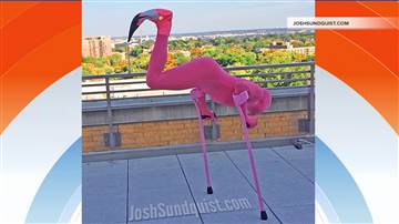 One-legged man gets creative with Halloween costumes