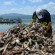 Miles de peces muertos en Cajititlán. Foto: Rafael del Río