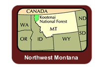 Small location map showing Kootenai in upper Northwest corner of Montana.