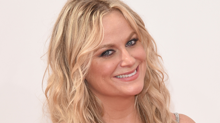 Amy Poehler claims she plays a 'dungeon master' in '50 Shades of Grey'