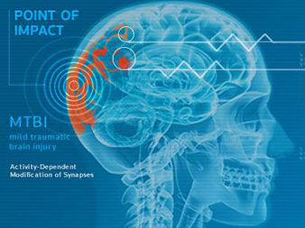 Traumatic brain injury (TBI) effects on the brain