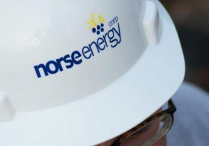 Norse Energy To Blame Cuomo For Bankruptcy !