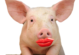 Putting Lipstick on the Frac'ing Pig. Frackers Abandon "Frac'ing"