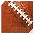 Football Fan - Luncheon Napkins - 16 count
