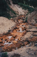 View of Prospect Gulch, Upper Animas River watershed, Colo.