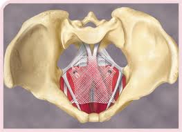 transvaginal-mesh-closer-look