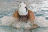 Kelly Walsh vs. Natrona County Girls Swimming