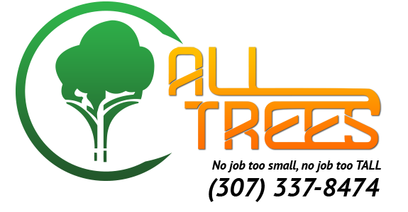 All Trees LLC