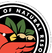 Ohio DNR Logo