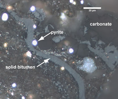 Eagle Ford Shale photomicrograph