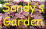 Sandy's Garden Blog