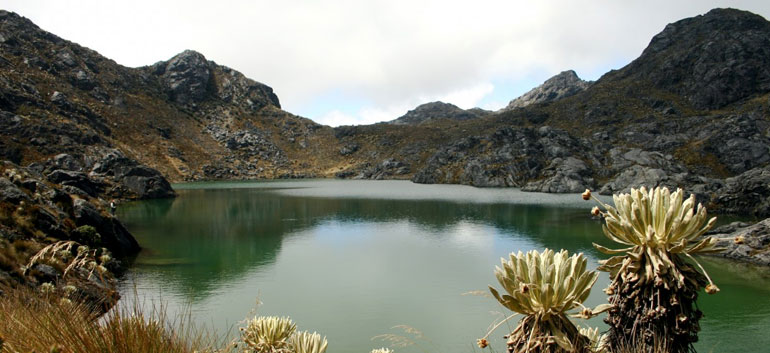 Northeast Colombia nature reserve to quadruple in size