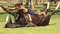 What is this man doing to the horse?