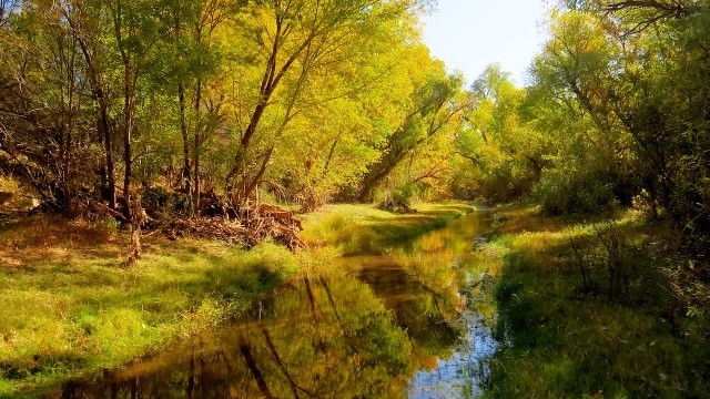 Sonoita Creek ©Glen E Goodwin