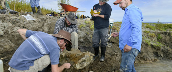 Mammoth Fossil Recovered from American Falls Reservoir