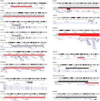 Genome browser view of the CNV deletions identified in ASD-affected subjects.
