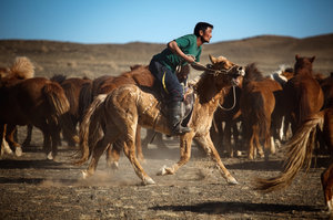 Horses were first domesticated in the area that is Mongolia today. The original cowboys, Mongolians ride on wooden saddles and are some of the best horsemen in the world. They're a part of Mongolia's traditional culture, which is under pressure from the mining boom.