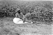 Mississippi sharecropper, 1936