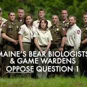 A ballot measure in Maine over bear-baiting has drawn ads from both sides of the debate, including this one from the Maine Wildlife Conservation Council, which opposes the measure.