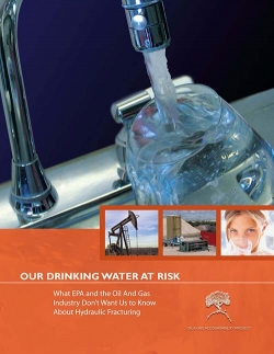 Our Drinking Water at Risk - Executive Summary