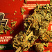 marijuana wars - weeds a stimulant