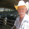 Larry Schatte manages an auction house in Giddings.