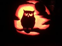 5. Owl pumpkin