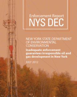 Enforcement Report - NYS DEC