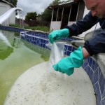 A mosquito control specialist releases skeeter-eating fish into a stagnant pool during a West Nile outbreak in California in 2009.