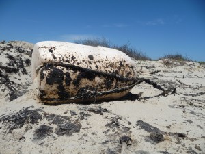 More than 150,000 gallons of heavy fuel oil spilled into the Houston Ship Channel on March 22, 2014 after a collision between an oil barge and a ship.