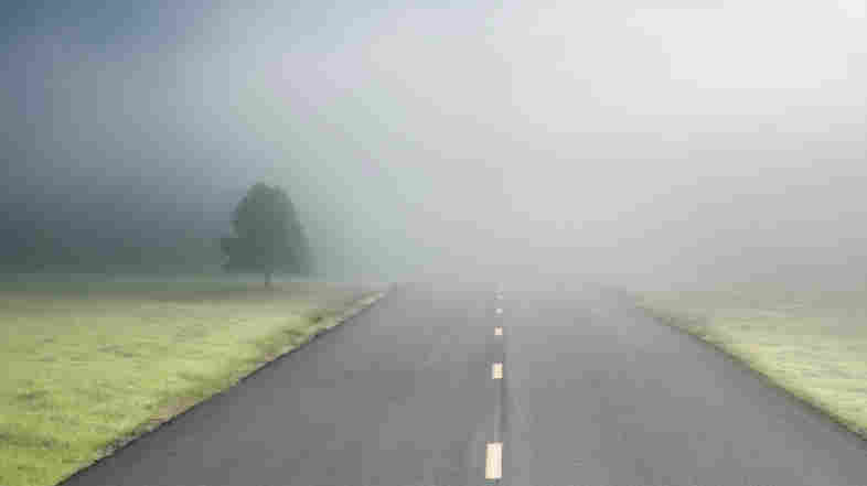 A road disappearing into the fog.