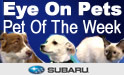 Eye On Pets - Pet Of The Week