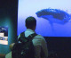 The Whales exhibit at the Denver Museum of Nature and Science (credit: CBS)