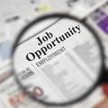 Gains in hiring expected in November