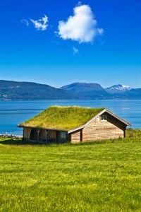 green roof