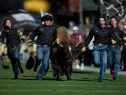 UCLA v Colorado