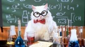 thermodynamics-cat-med
