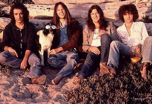 Picture of Neil Young & Crazy Horse