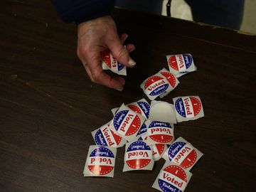 Americans head to the polls to cast their vote in the mid-term elections, which will decide whether Republicans or Democrats will control the Senate.