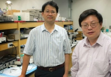 UT Arlington researchers successfully test model for implant device reactions