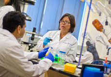 UT Arlington bioengineer wants to use nanomedicine to treat peripheral artery disease