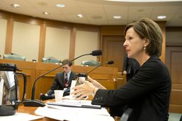Science educator Barbara Cargill of The Woodlands speaks to the Senate Nominations Committee about her nomination as chair of the State Board of Education on Feb. 11, 2013.