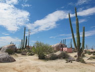 The desert between El Rosario and Guerrero Negro. 